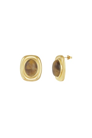 Chic Stone earrings - brown h5 