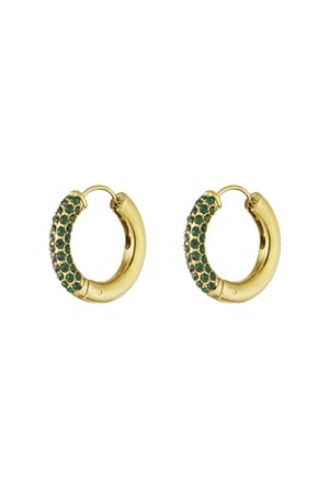 Shiny Rings earrings - dark green h5 