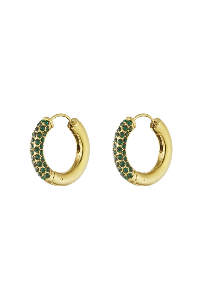 Shiny Rings earrings - dark green 