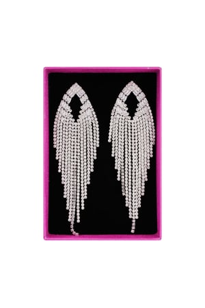 Moments of magic earrings - Silver Color color h5 Picture3