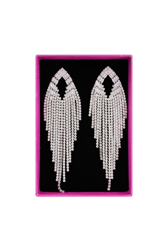 Moments of magic earrings - Silver Color color Picture3