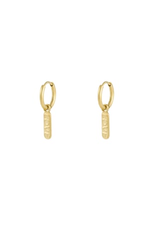 Lovely Tag earrings - Gold color h5 