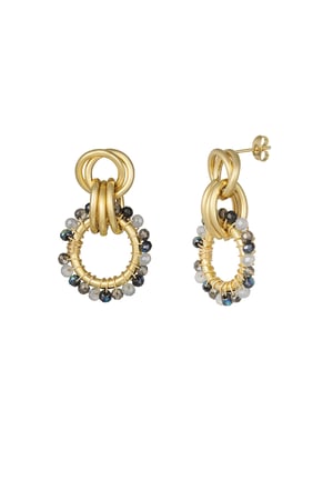 Happy Elegance earrings - gray h5 