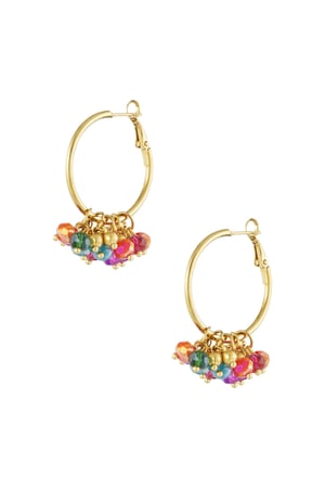 Bead it up earrings - multi h5 