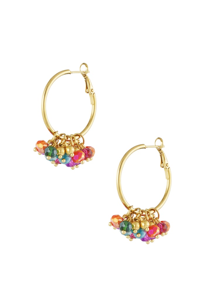 Bead it up earrings - multi 