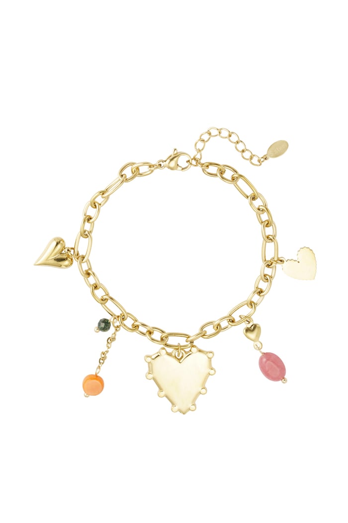 Charm bracelet variety of love - Gold color 