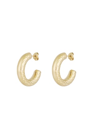 Structured hoop earrings - Gold color h5 