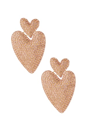 Chasing love earrings - pink h5 