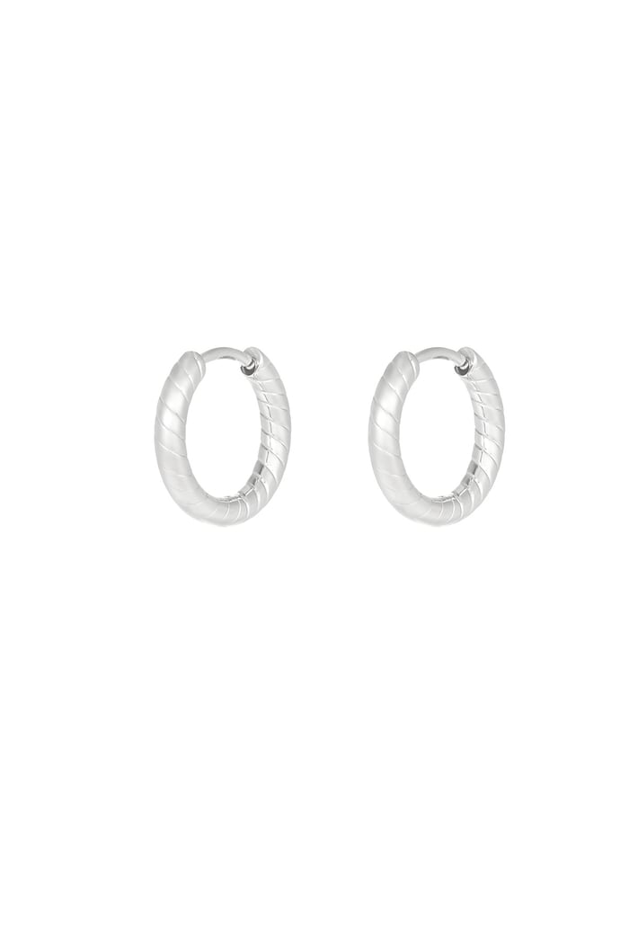 Refined relief earrings - Silver Color color 