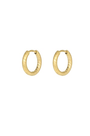 Refined relief earrings - Gold color h5 