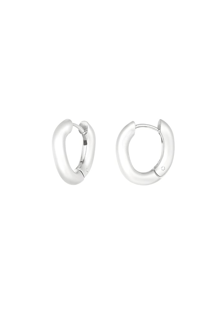 Gentle curve earrings - Silver Color color 