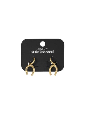 Horseshoe earring - Gold color h5 Picture3