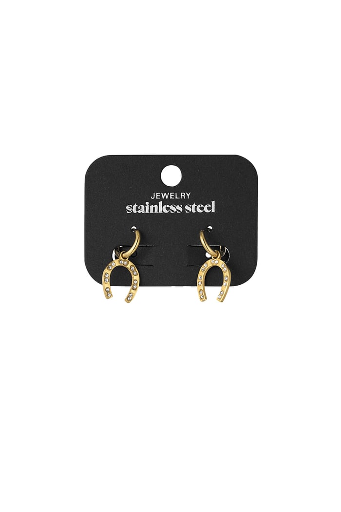 Horseshoe earring - Gold color Picture3