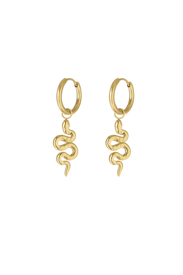 Earrings snake soul - Gold color 