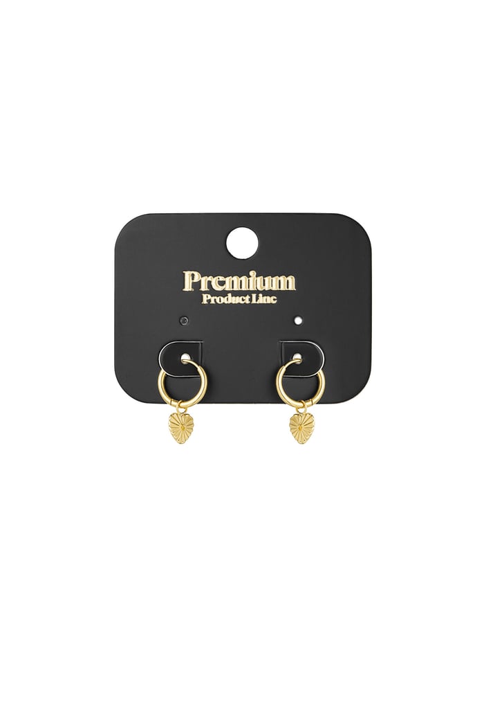 Pure love earrings - Gold color Picture3