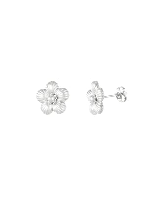 Daisy dots earrings - Silver Color color h5 