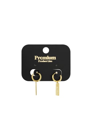 Amsterdam X earrings - Gold color h5 Picture3