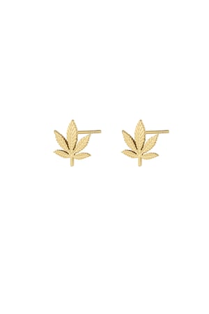 Canna bliss studs - Gold color h5 