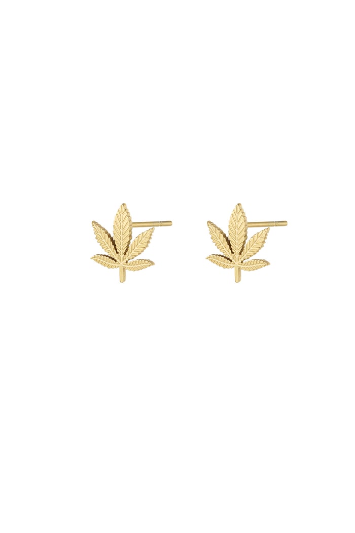 Canna bliss studs - Gold color 