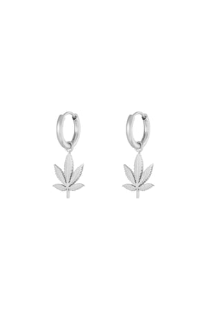 Canna bliss earrings - Silver Color color h5 