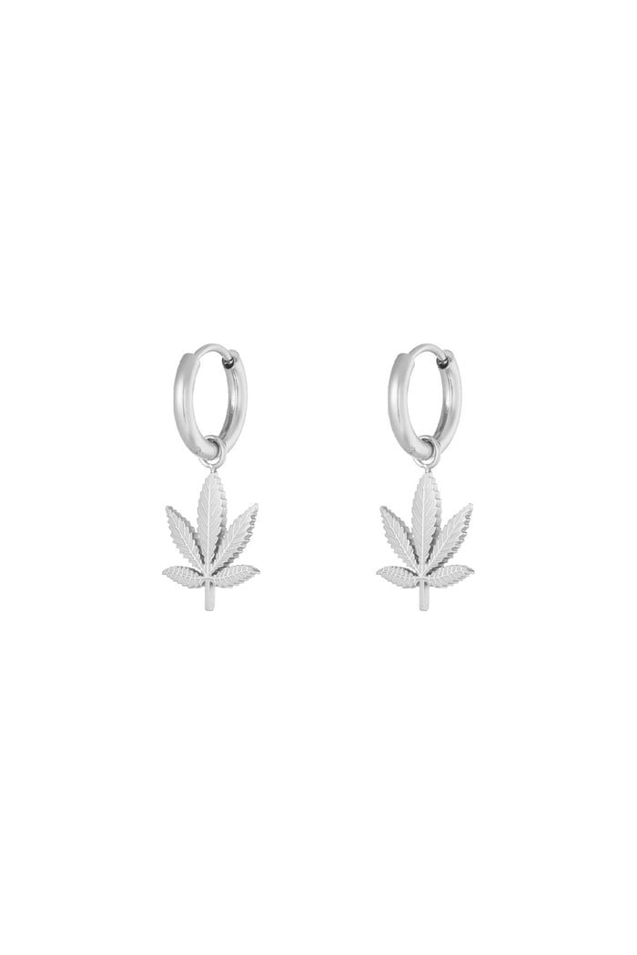 Canna bliss earrings - Silver Color color 