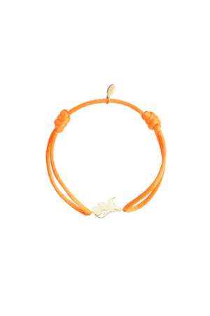 Dutchie Satinarmband - Orangegold h5 