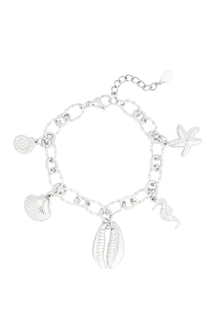 Charm bracelet wild sea - Silver color h5 