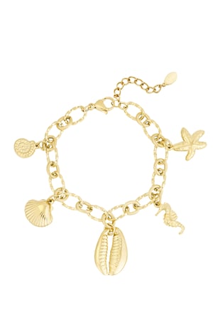 Charm bracelet wild sea - Gold color h5 