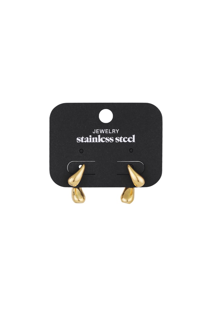 Classy Earrings - Gold color Picture3