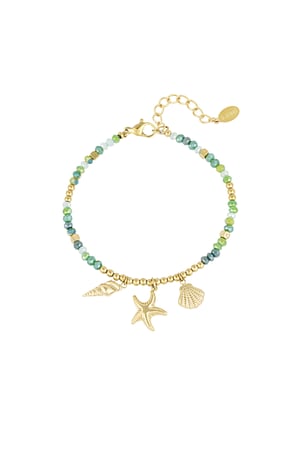 Bracelet shell dream - Green gold color h5 