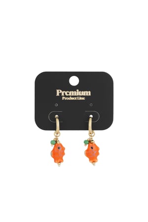 Fish vibe earrings - Orange gold color h5 Picture3