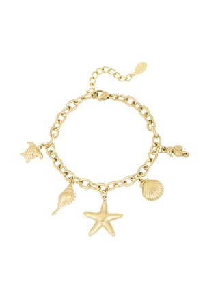 Sea breeze bracelet - Gold color h5 