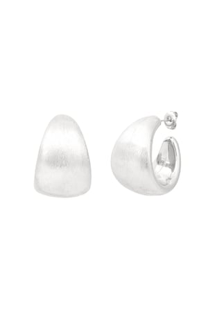 Timeless touch earrings - Silver color h5 