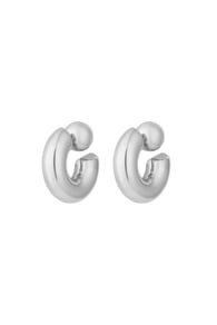 silver color Resim2