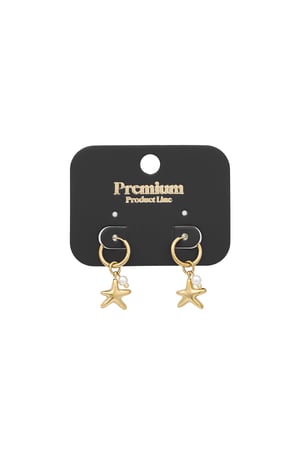 Star of the sea earrings - Gold color h5 Picture2