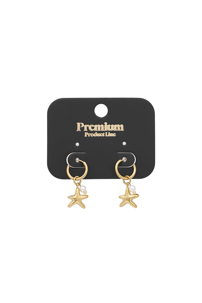 Star of the sea earrings - Gold color Picture2