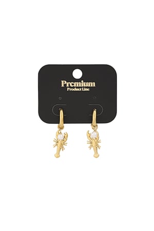 Lobster earrings - Gold color h5 Picture2