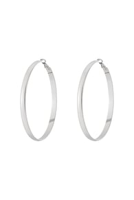 silver color Imagen2