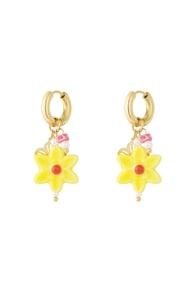 Yellow Imagen2