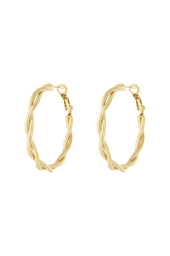 Stainless Steel Hoop Earrings Geometric Casual Daily Simple Series Women's jewelry 2