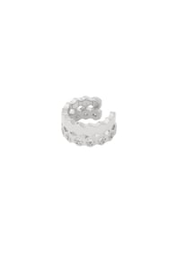 silver color Imagen2