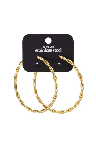 Stainless Steel Hoop Earrings Geometric Casual Daily Simple Series Women's jewelry h5 Picture3