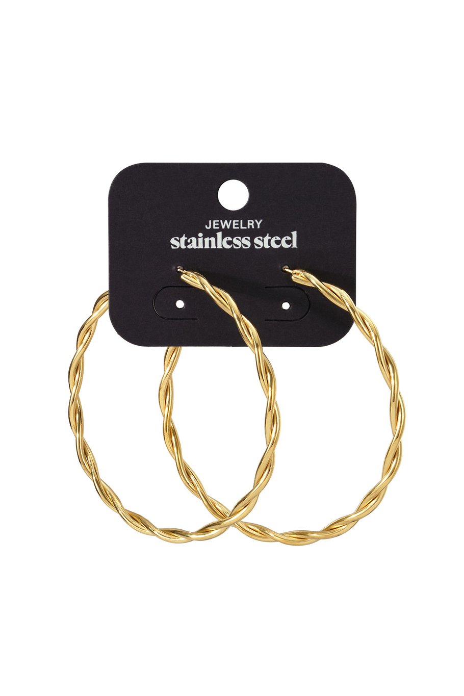 Stainless Steel Hoop Earrings Geometric Casual Daily Simple Series Women's jewelry Picture3