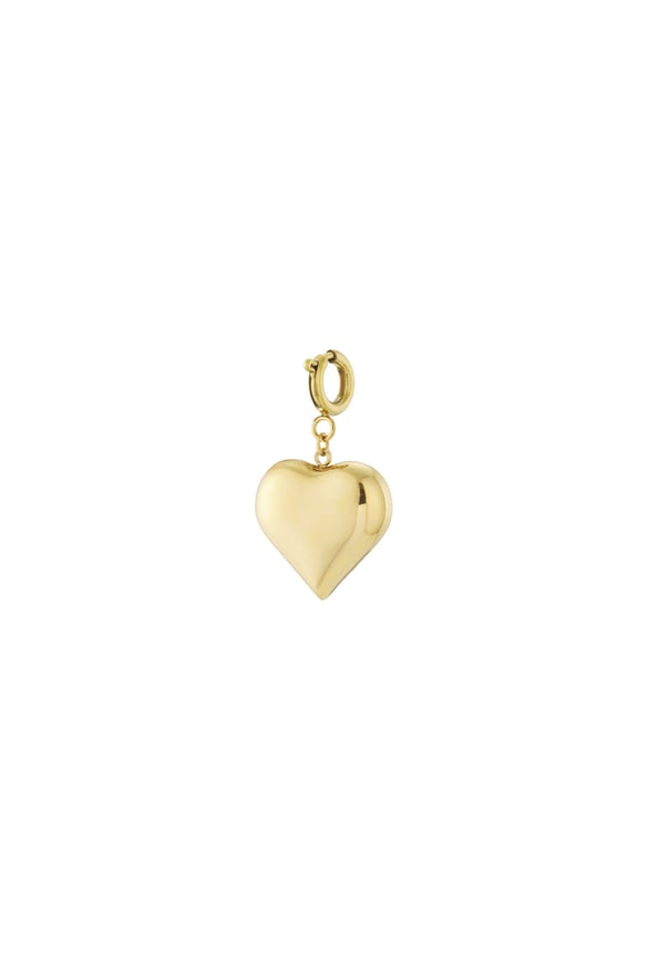Heart jewelry charm