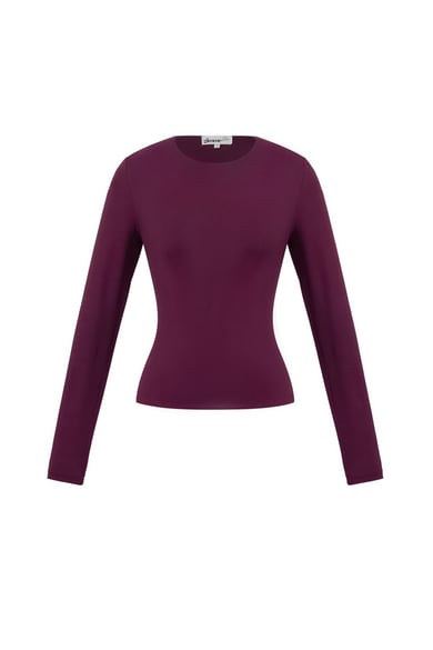 Top a maniche lunghe in nylon, tinta unita, basic, tutti i vestiti adatti h5 Immagine4