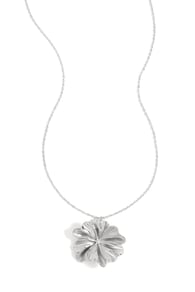 couleur argent Image2