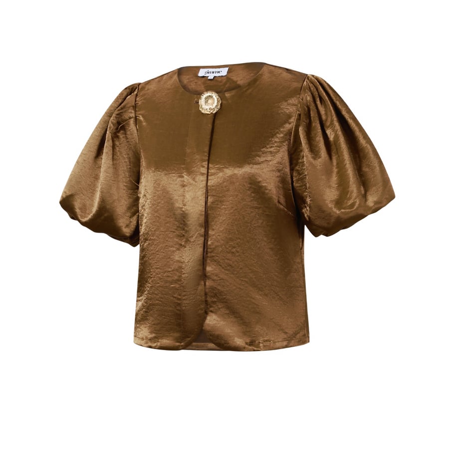 Puff Sleeve Statement Top Picture2