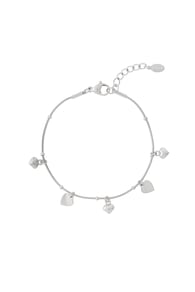 silver color Afbeelding2