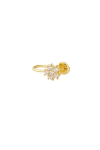 Gold color 