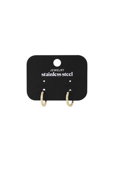 stainless steel hoop earrings  h5 Picture4